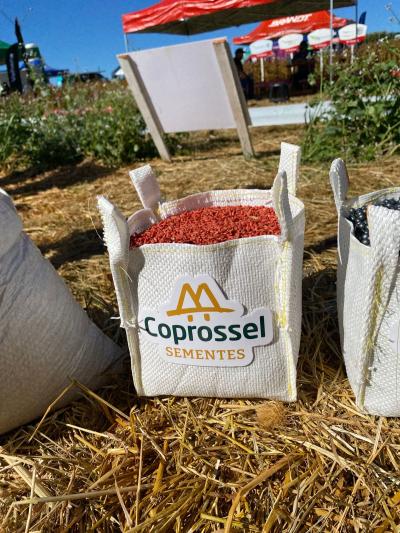 Dia de Campo Coprossel -Evento reuniu produtores, lideranças e empresas parceiras para apresentar tecnologias 